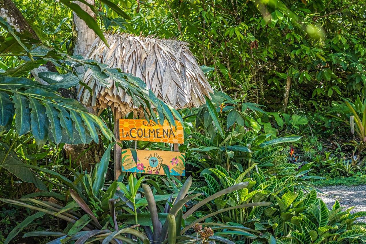 Casa La Colmena Villa Cahuita Luaran gambar